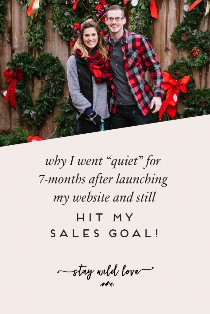 The 3 essential things to know in year one of business and how I hit my sales goal following these three things. | Stay Wild Love #virtualassistant #theblueprintmodel