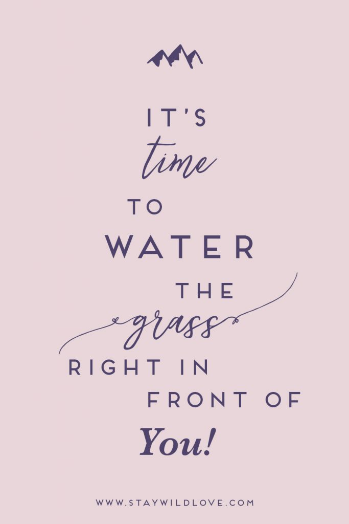 It’s time to water the grass right in front of you don’t you think? | Stay Wild Love #values #chasingslow